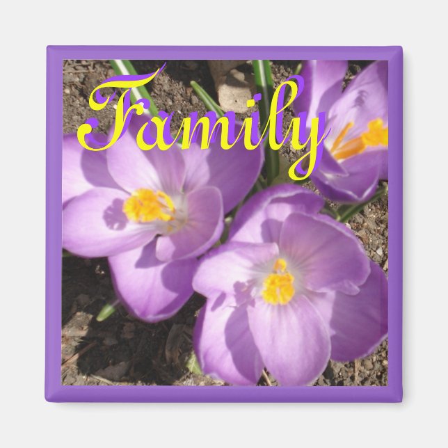 krokusfamiljymagnet magnet (Framsidan)