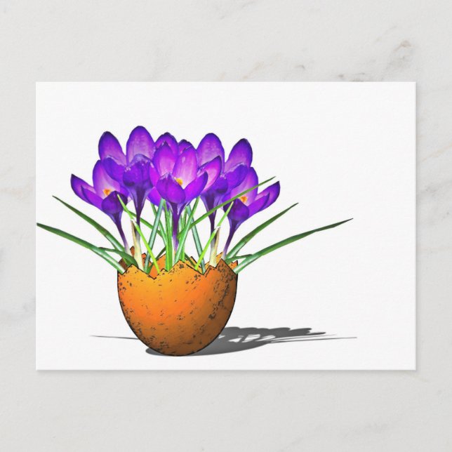 Krokusse Vykort (Framsida)