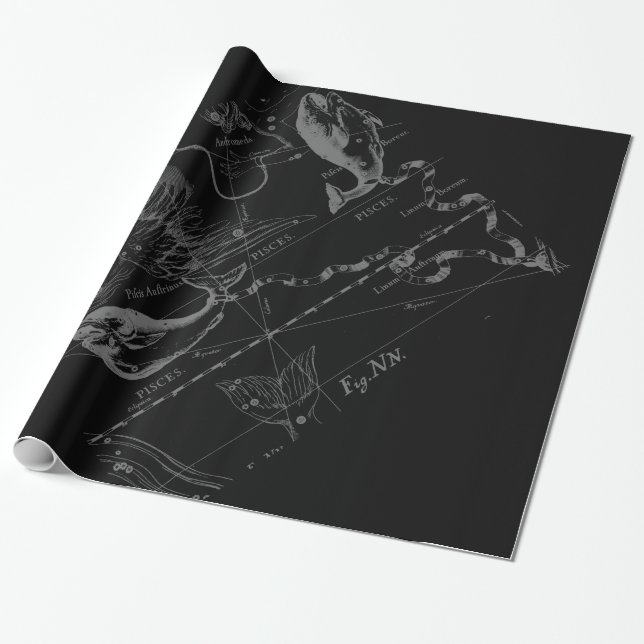 Krom som Pisces Zodiac Sign på Black Hevelius Presentpapper (Utrullad)