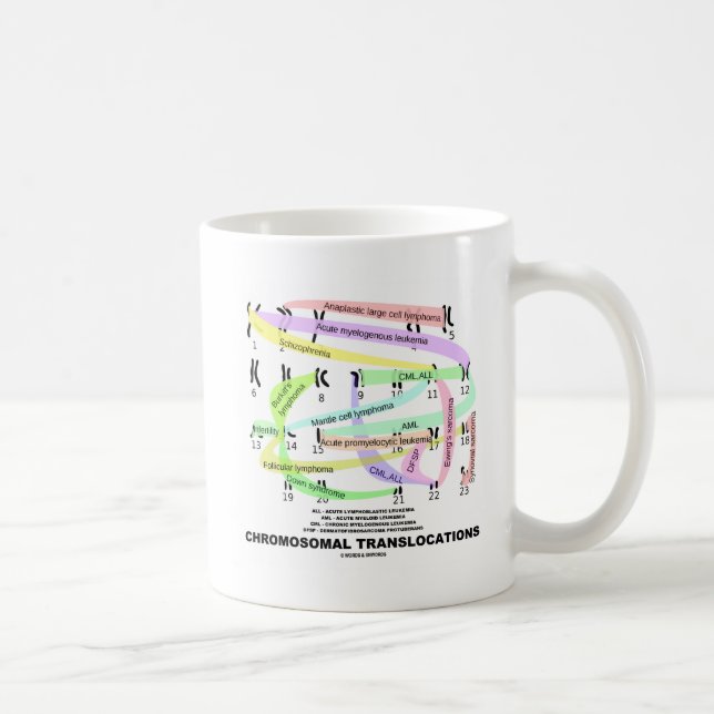 Kromosomala omlokaliseringar (Karyogram) Kaffemugg (Höger)