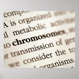 Kromosomdefinition på sidan poster