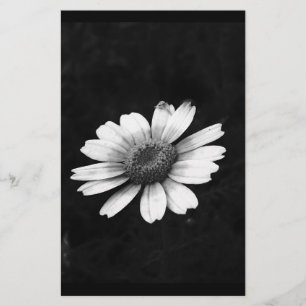 Krona Daisy Brevpapper