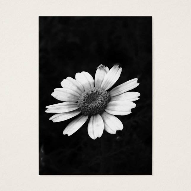 Krona Daisy Visitkort (Framsidan)