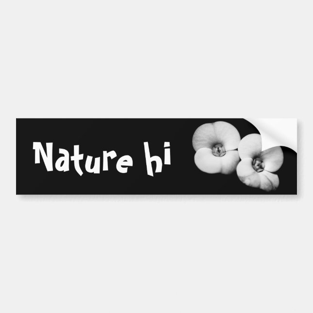 krona i torgen bildekal (Framsidan)