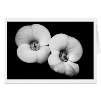 krona i torgen hälsningskort