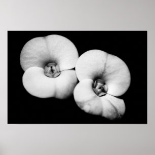 krona i torgen poster