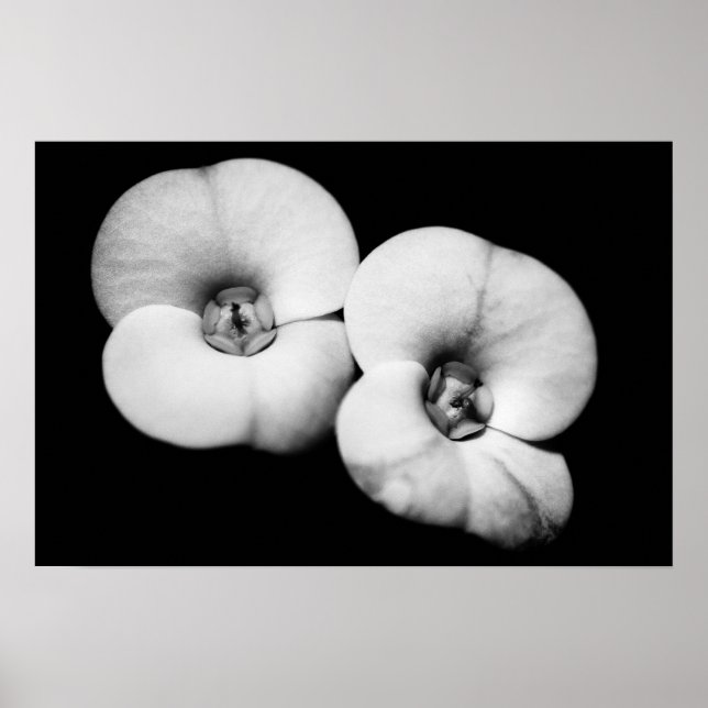 krona i torgen poster (Framsidan)