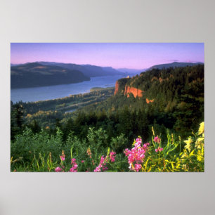 Krona Point, Columbia River Gorge, Oregon Poster