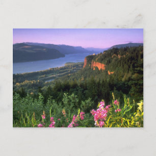 Krona Point, Columbia River Gorge, Oregon Vykort