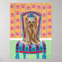 Krona Princess Yorkie