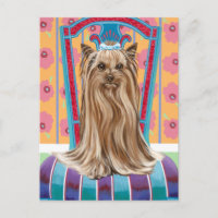 Krona Princess Yorkie
