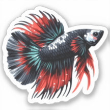 Krona Svan Betta Fish Black White och Red