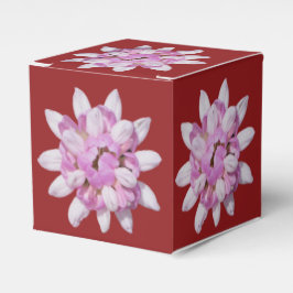 Krona Vetch #1 Presentaskar