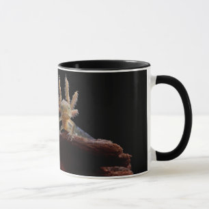 Krönad newtlarve mugg