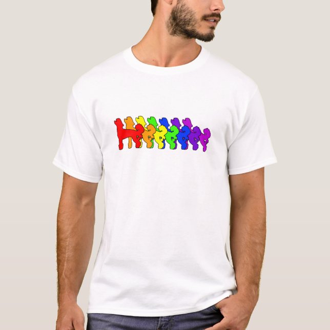 Krönad regnbågekines t shirt (Framsida)