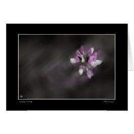 Kronan Hälsningskort