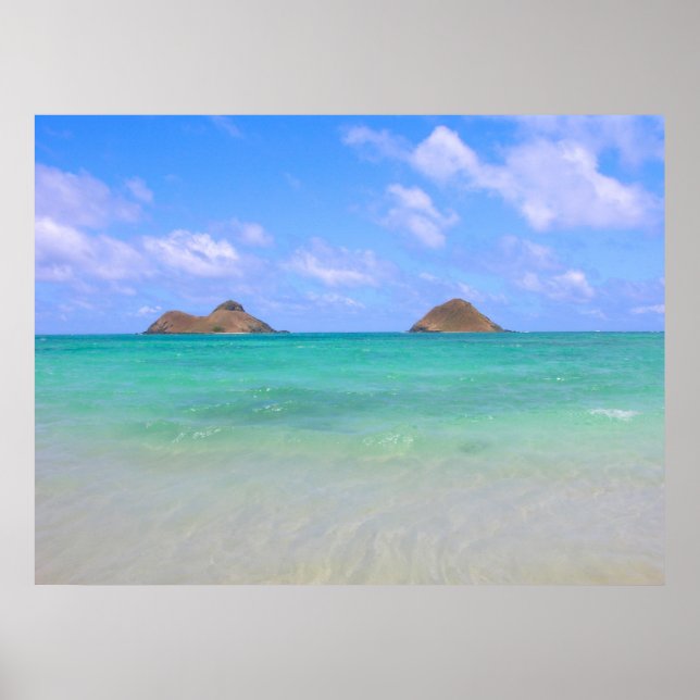 Kronärtarna Poster (Framsidan)