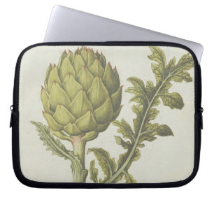 Kronärtskocka: Cynarascolymus, c.1568 Laptop Sleeve