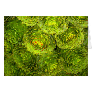 KronärtskockaBoutique OBS Kort