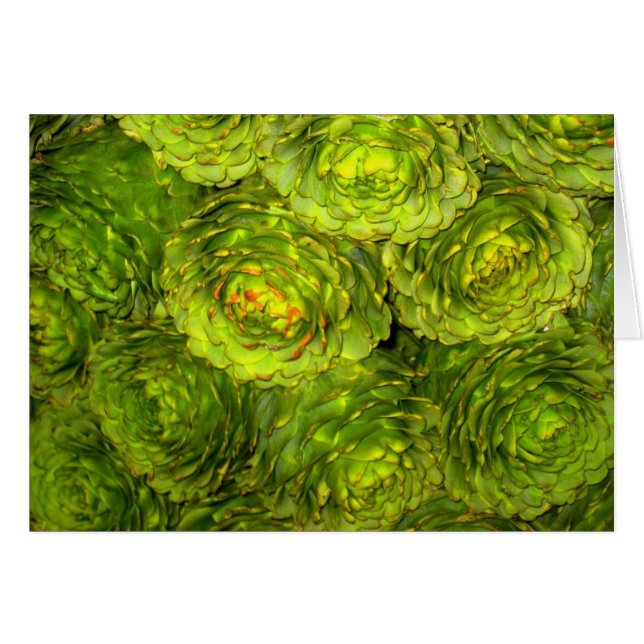 KronärtskockaBoutique OBS Kort (Framsidan Horizontal)