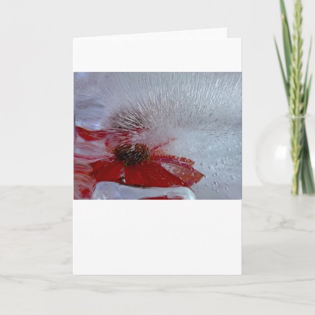 Kronflocka i is, kort (Framsida)