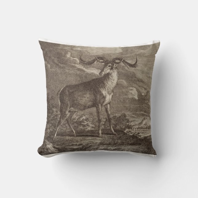 Kronhjort, hane och ung kudde (Framsida)