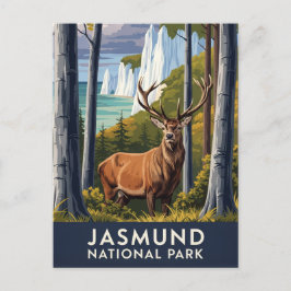 Kronhjort i Jasmund nationalpark Tyskland Resa Vykort