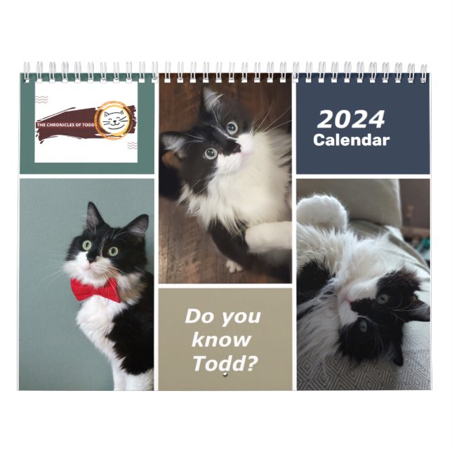 Kroniklerna i Todd 2024 Calendar Kalender (Omslag)