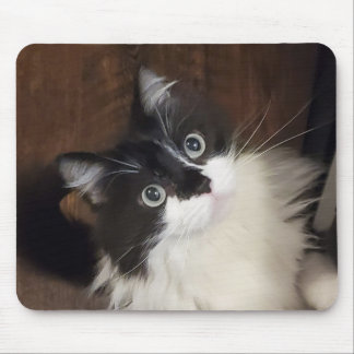 Kroniklerna i Todd - Mouse Pad Musmatta