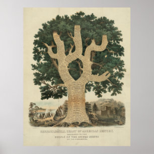 Kronologiskt kartlägga av amerikansk historia poster