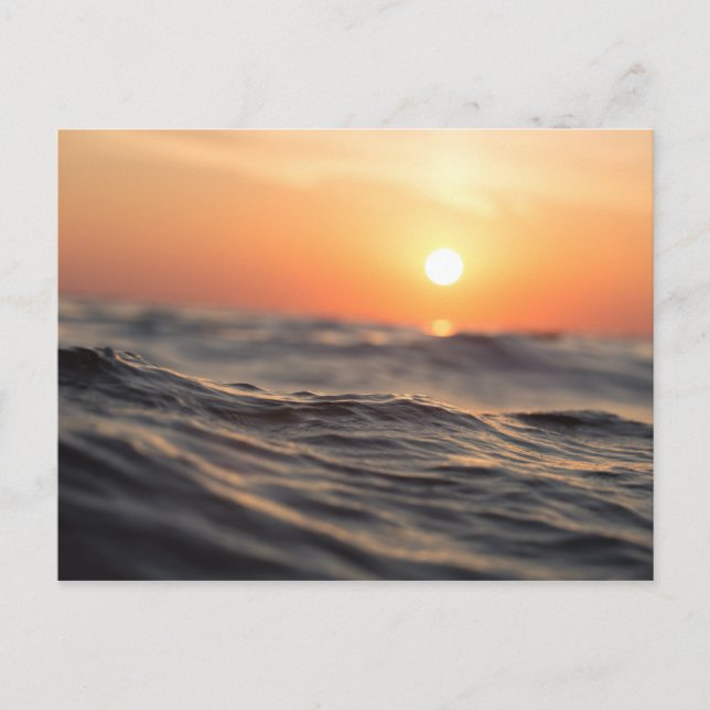 Kroppen i Vatten under Golden Hour Vykort (Framsida)