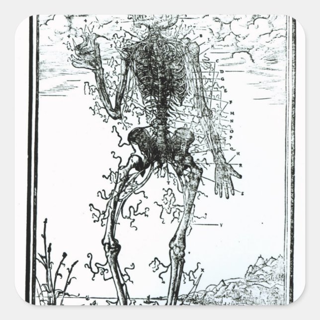 Kroppens kärlsystem fyrkantigt klistermärke (Framsida)