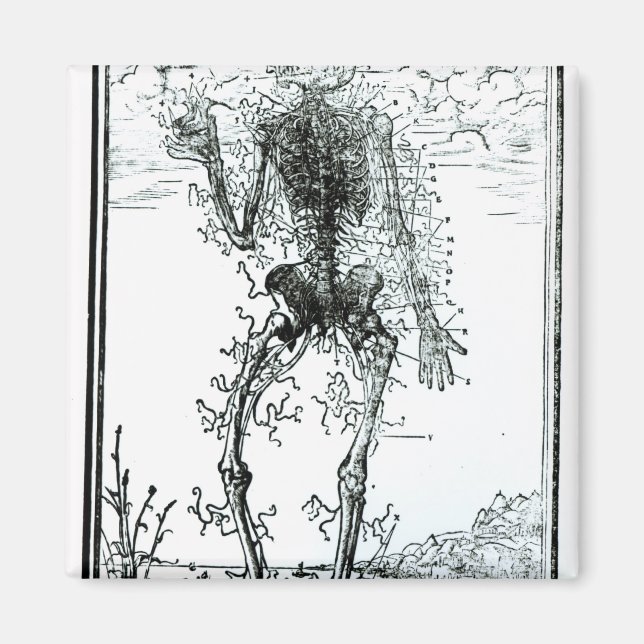 Kroppens kärlsystem magnet (Framsidan)