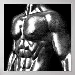 Kroppsbyggare Mans Torso Teckning Poster