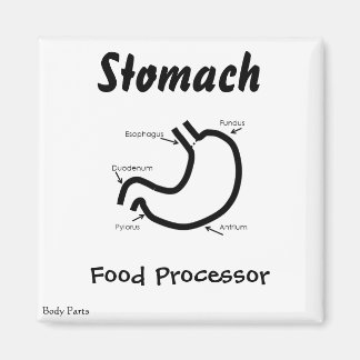 Kroppsdelar - humant stomach magnet