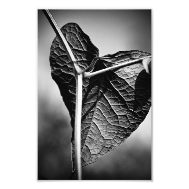 krossat hjärta fototryck (Framsidan)