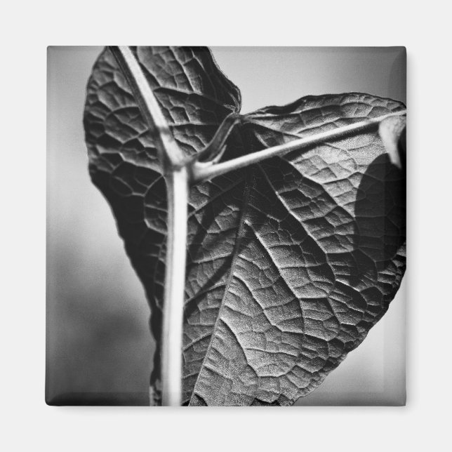 krossat hjärta magnet (Framsidan)