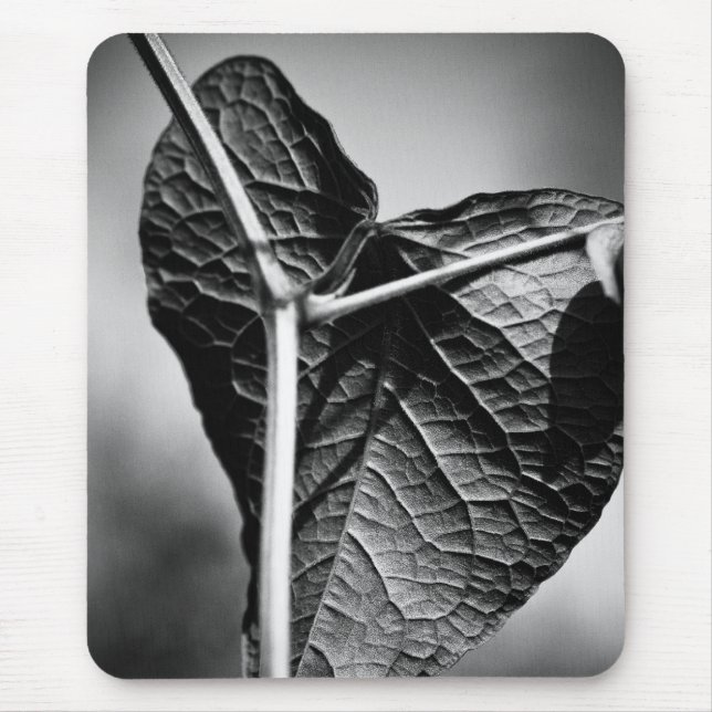 krossat hjärta musmatta (Framsidan)