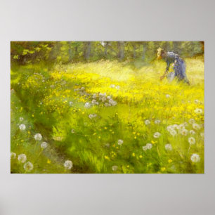 Kroyers Garden at Skagen Poster