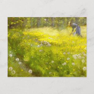 Kroyers Garden at Skagen Vykort