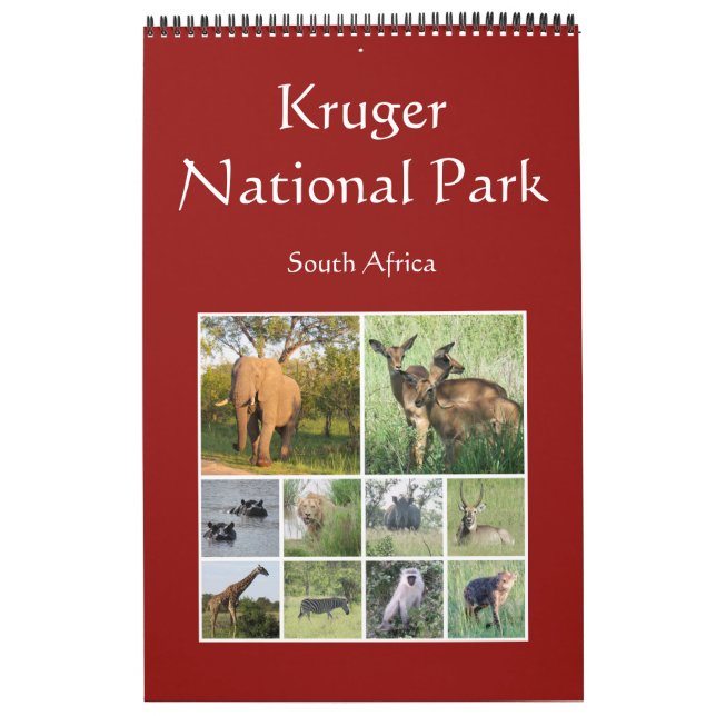 kruger afrikansk safari kalender (Omslag)