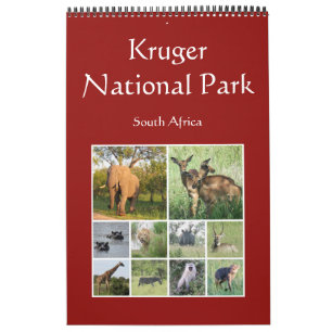kruger afrikansk safari kalender