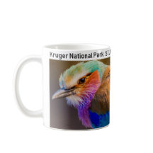 Kruger National Park Lilac Brested Roller