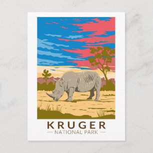 Kruger National Park Vit Noshörning Resa Konst Vykort
