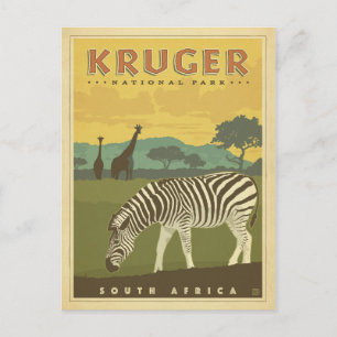 Kruger nationalpark, södra Afrikan Zebröder & Gi Vykort