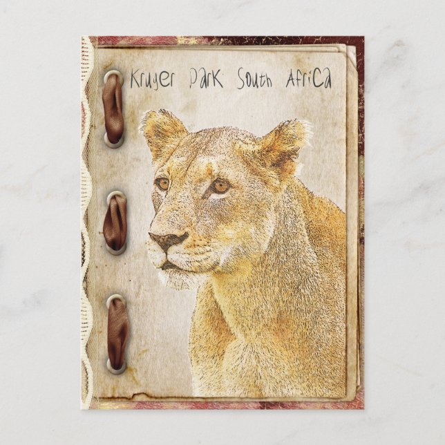 Kruger park, södra Afrikan Vykort (Framsida)