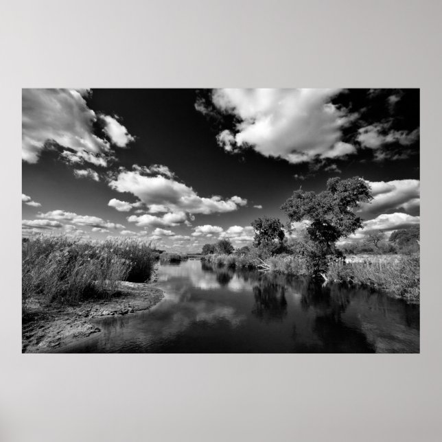Kruger Quiescence Poster (Framsidan)