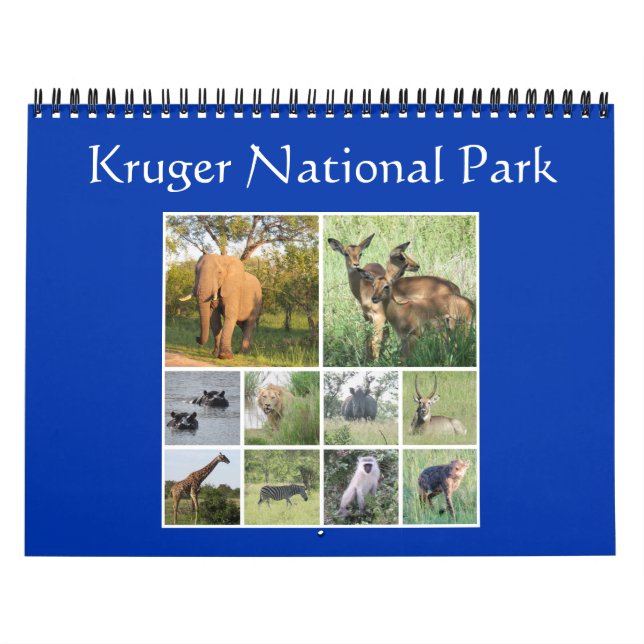 kruger safari kalender (Omslag)
