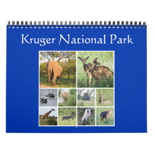 kruger safari kalender
