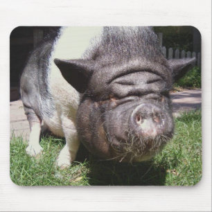 Kruka-Buktad gris Mousepad Musmatta